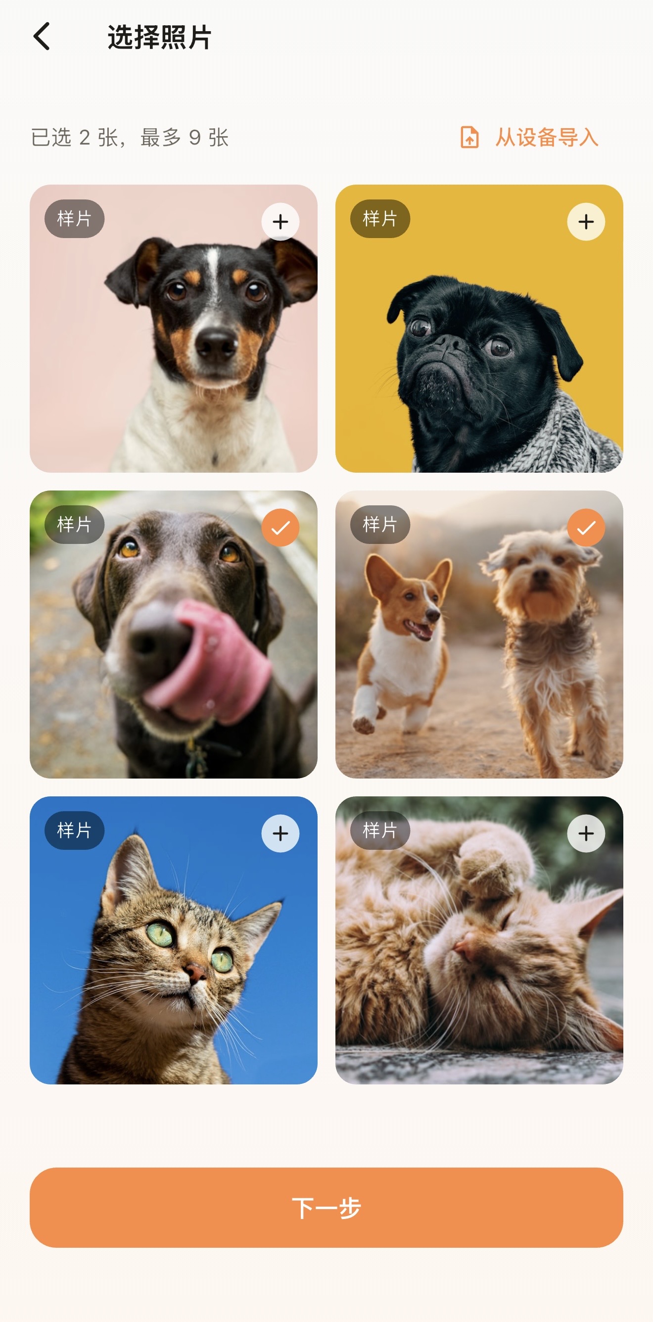 AniPet Studio 首页截图